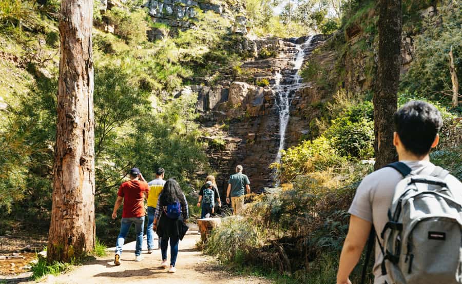 Grampians National Park Small-Group Eco Day Tour - Ballarat morning tea at the Eureka Centre