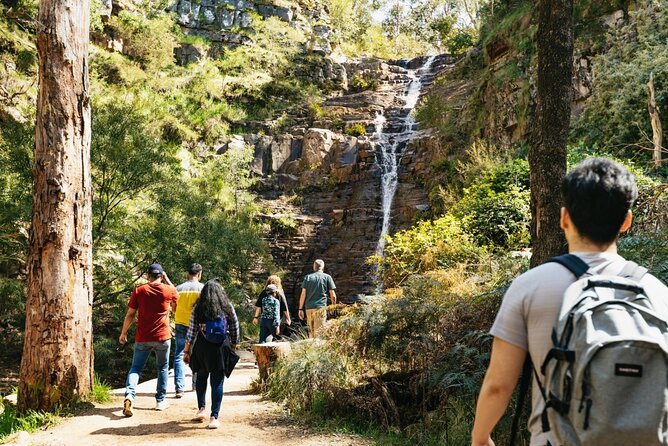 Grampians National Park Small-Group Eco Tour from Melbourne - Key highlights worth planning for