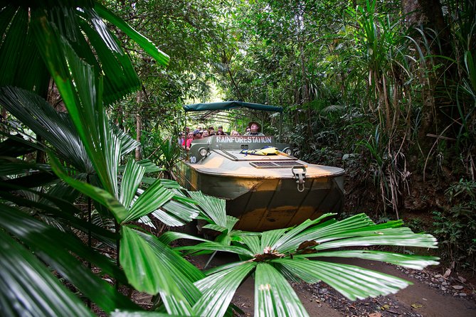 Grand Kuranda including Skyrail and Kuranda Scenic Railway - Key highlights to know before you go
