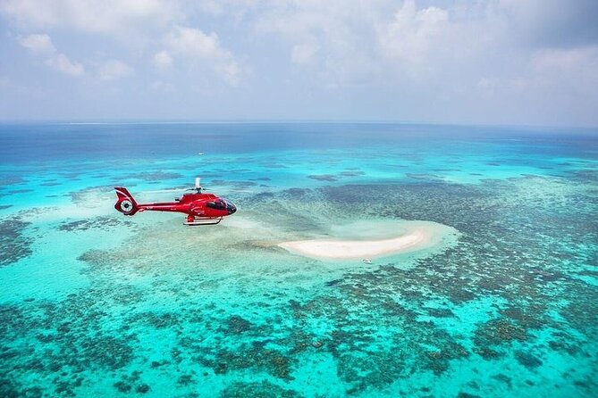 Great Barrier Reef 30-Minute Scenic Helicopter Tour from Cairns - Seeing Marine Life: Dugongs, Turtles, and Dolphins (When Conditions Help)