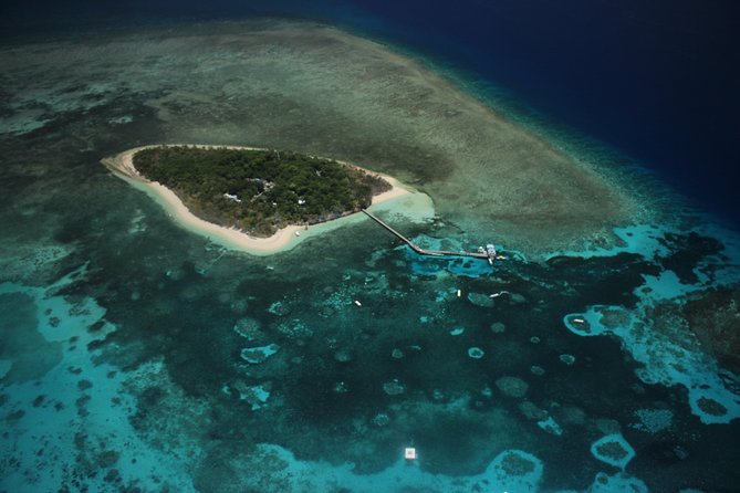 Great Barrier Reef 40 Minute Scenic Flight from Cairns - Reef Hopper - Comfort check: motion sickness, heat, and window views for kids