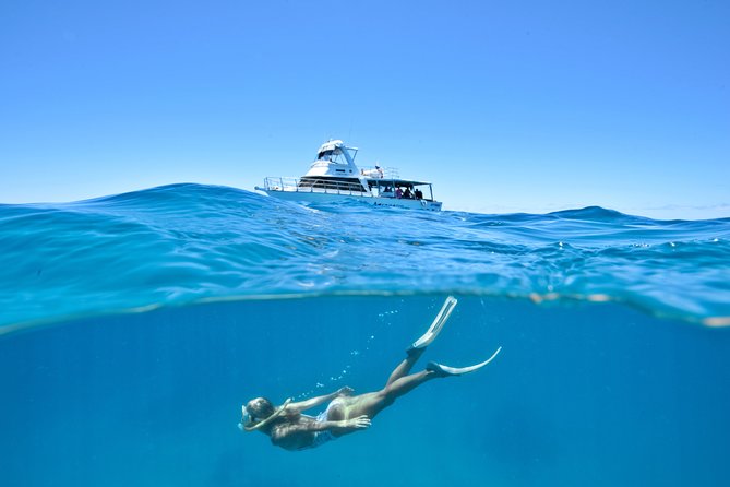 Great Barrier Reef Cruise from Townsville or Magnetic Island - Key things to know before you go