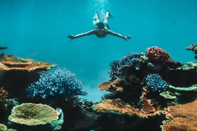 Great Barrier Reef Cruise from Townsville or Magnetic Island - Where You Board: Townsville Fuel Wharf vs Magnetic Island Nelly Bay