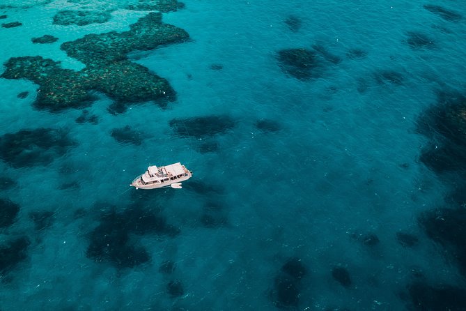 Great Barrier Reef Cruise from Townsville or Magnetic Island - Onboard Setup on a 45-Foot Custom-Built Boat