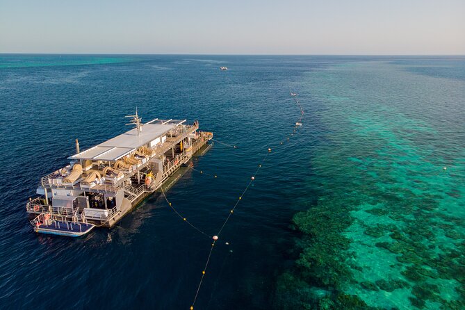 Great Barrier Reef Full Day Adventure - Reefworld pontoon basics: where you spend your reef time