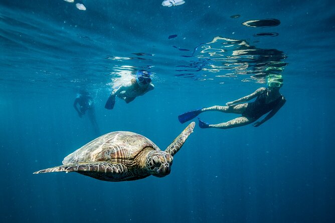 Great Barrier Reef Full Day Adventure - Food that keeps the day from feeling like a long wait