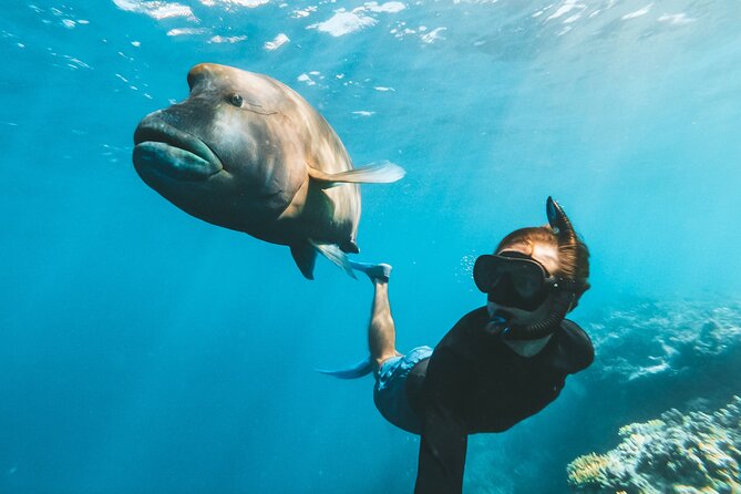 Great Barrier Reef Full Day Adventure - Optional add-ons: guided snorkeling, scuba sessions, and photos