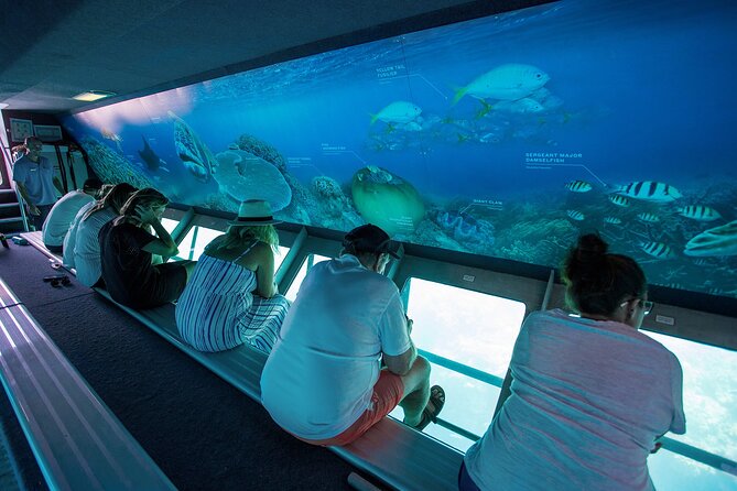 Great Barrier Reef Full Day Adventure - Weather is the wildcard, so plan like a realist