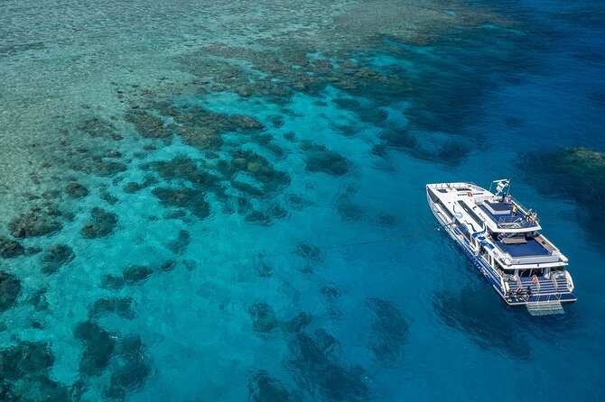Great Barrier Reef Full Day Tour from Cairns - Snorkeling or Scuba Options That Don’t Leave You Guessing