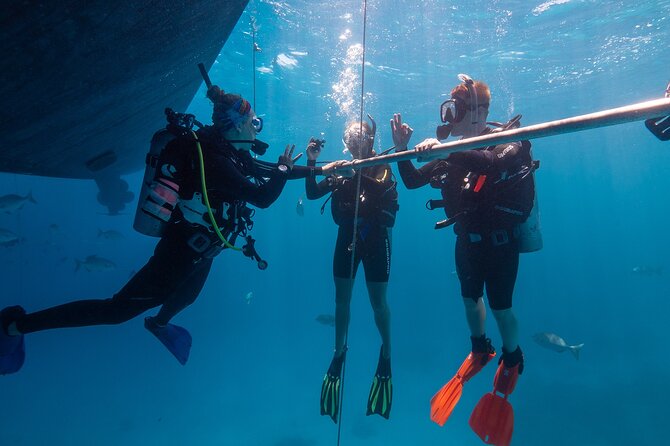 Great Barrier Reef Full Day Tour from Cairns - The AquaQuest Boat and the Comfort Details That Save Your Day