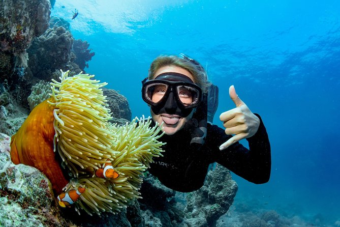 Great Barrier Reef Full Day Tour from Cairns - Lunch, Snacks, and How to Handle a Long Reef Day