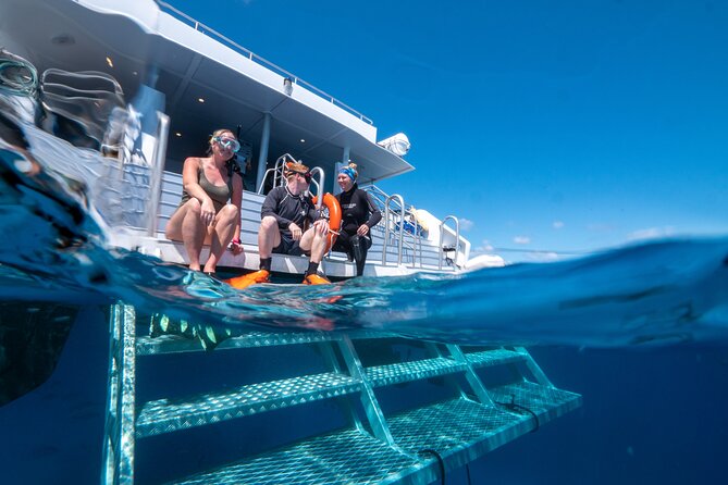 Great Barrier Reef Full Day Tour from Cairns - Who This Tour Suits Best