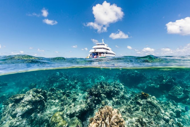 Great Barrier Reef Snorkeling and Diving Cruise from Cairns - How the Great Barrier Reef day runs from Cairns (and why it matters)