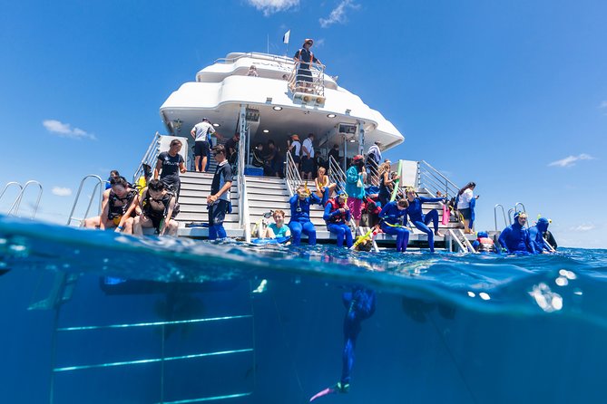 Great Barrier Reef Snorkeling and Diving Cruise from Cairns - Reef Fleet Terminal check-in, then straight onto the Evolution