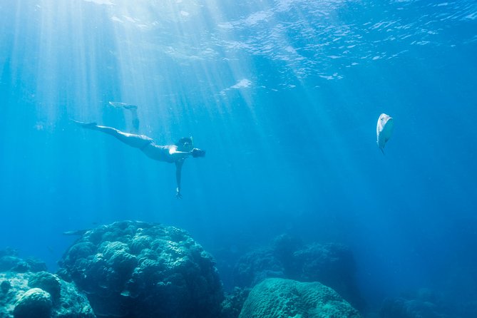 Great Barrier Reef Snorkeling and Diving Cruise from Cairns - The crew teaching style: briefings, in-water support, and real safety habits