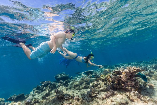 Great Barrier Reef Snorkeling and Diving Cruise from Cairns - BBQ lunch at sea: what you get and how it keeps the day on track