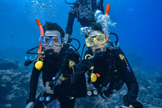 Great Barrier Reef with Cultural Guides-Dreamtime Dive & Snorkel - Stop 1: Moore Reef, where the day starts with tools and guidance