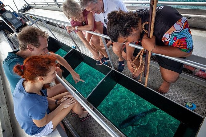 Great Barrier Reef with Cultural Guides-Dreamtime Dive & Snorkel - What the reef looks like in real life: coral, wildlife, and the bad news too