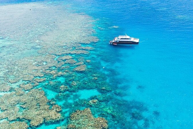 Great Barrier Reef with Cultural Guides-Dreamtime Dive & Snorkel - Cairns logistics that actually matter: meeting point and timing