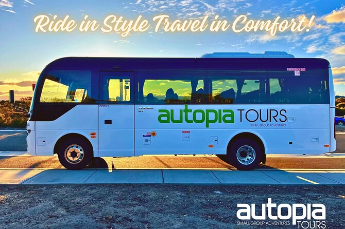 Great Ocean Road, 12 Apostles, Loch Ard Gorge & lunch - Melbourne - Maits Rest or Melba Gully: ancient rainforest, a slow change of pace