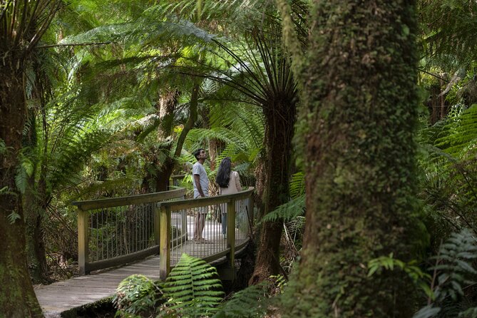 Great Ocean Road, 12 Apostles, Loch Ard Gorge & lunch - Melbourne - Great Ocean Road stretches and the Memorial Archway stop