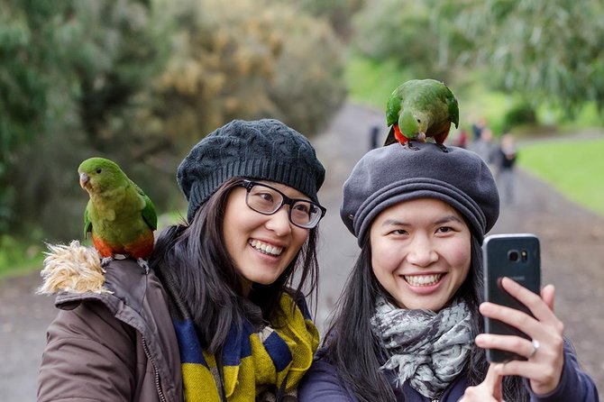 Great Ocean Road, 12 Apostles, Rainforest & Morning Tea-Melbourne - Wildlife Spotting, Tea Breaks, and the Pace of a 13-Hour Day