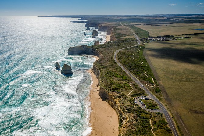 Great Ocean Road 12 Apostles & Rainforest Walk with Morning Tea - Key highlights that make this day trip worth it