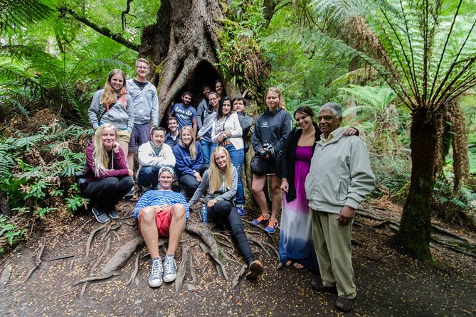 Great Ocean Road 12 Apostles & Rainforest Walk with Morning Tea - Apollo Bay lunch break: enjoy the town, but plan for your diet
