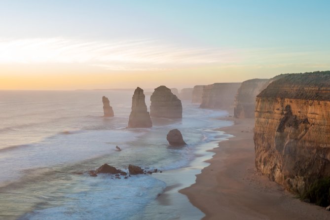 Great Ocean Road and Wildlife Tour for Backpackers aged 18-35 - Kennett River: the koala zone (and how spotting works)