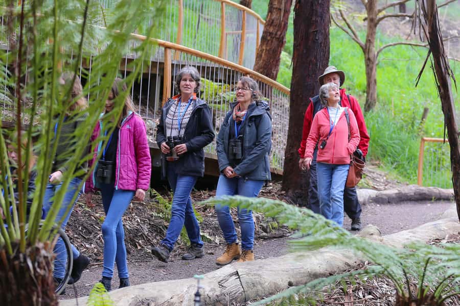 Great Ocean Road: Guided Wildlife Walk that Supports Nature - Weather, photo rules, and what to pack so you stay comfortable