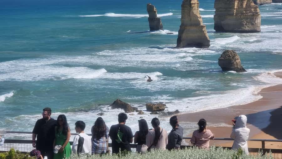 Great Ocean Road Lux Tour Max 11 Hotel Pickup - Wildlife spotting at secret locations: good odds, real patience