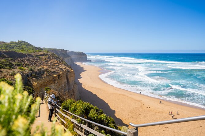 Great Ocean Road Reverse Itinerary Boutique Tour - Max 11 Guests - Great Otway National Park and Mait’s Rest: Rainforest Walks, With Real-World Conditions