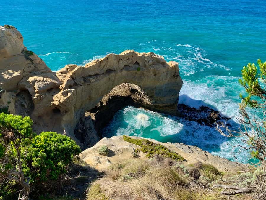 Great Ocean Road Reverse Tour London Bridge Wildlife - Reverse Itinerary: Better photos at the Twelve Apostles, without the headache