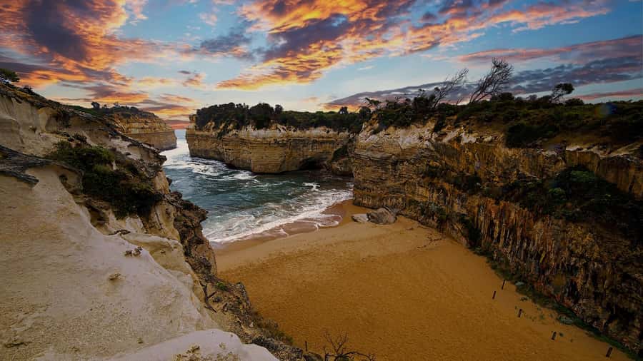 Great Ocean Road Reverse Tour London Bridge Wildlife - Great Otway National Park pass-by: Don’t expect a hike, but enjoy the drive