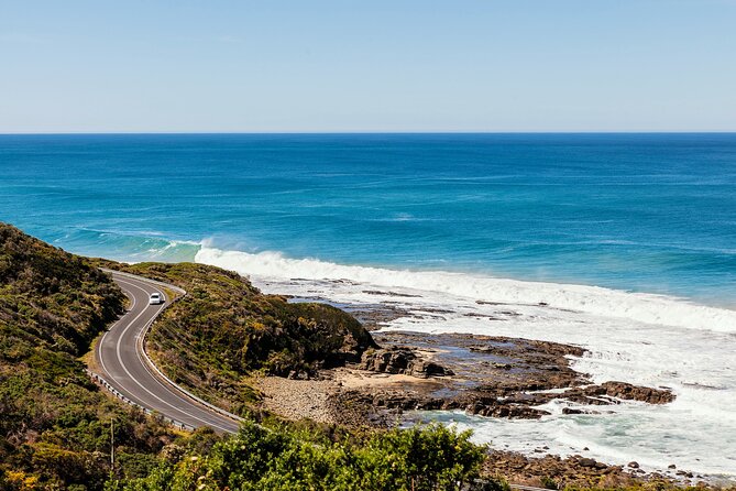 Great Ocean Road Reverse Tour with Iconic Stops & Wildlife - The Long Day Reality: Pacing, Toilets, and How to Sit for Better Views