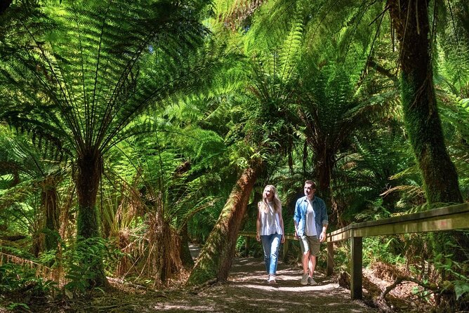 Great Ocean Road Small-Group Eco Tour from Melbourne - Mait’s Rest in Great Otway National Park: Rainforest Walk Time