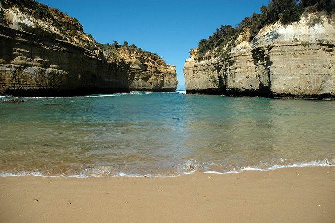 Great Ocean Road Tour Plus Koalas, Forest Walk and Morning Tea - Pickup, Group Size, and the Bus Reality