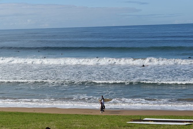 Great Ocean Road Tour Plus Koalas, Forest Walk and Morning Tea - Apollo Bay Stop: Where You Choose Your Lunch and Your Pace