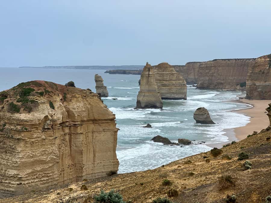 Great Ocean Road Tour PRIVATE LUXURY-FREE entry,hotel pickup - Mutton Bird Lookout and the Fairy Penguin Territory