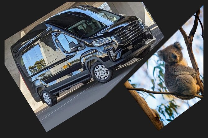 Great Ocean Road Tour Reverse –SML GRP-DLUX Mini Bus Hotel Pickup - Melba Gully National Park rainforest time: bring walking shoes
