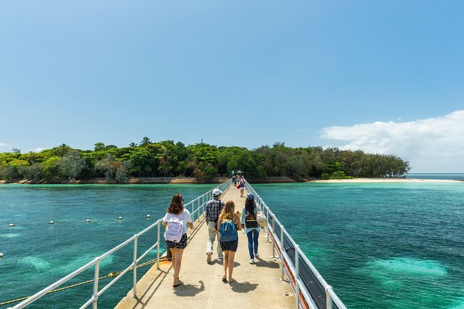Green Island Day Trip from Cairns - Green Island, the Reef, and Why You’ll Want to Choose Your Style