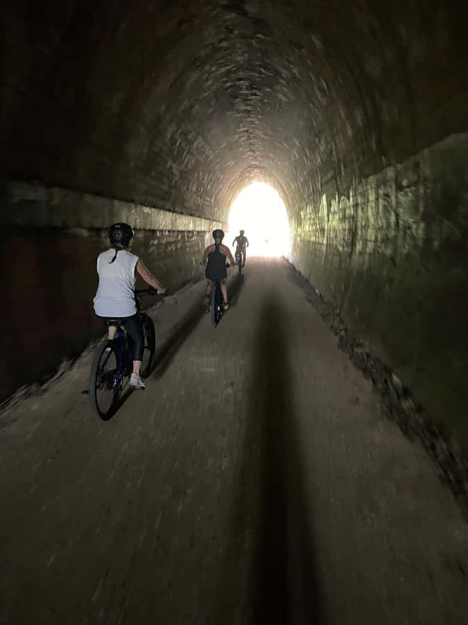 Guided Evening Glow Worm Experience - Byron Bay - Wildlife spotting on the trail, timed for night activity