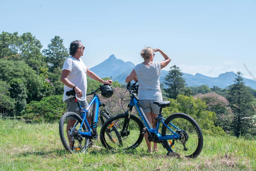 Guided Evening Glow Worm Experience - Byron Bay - Should you book the Byron Bay glow worm e-bike tour?