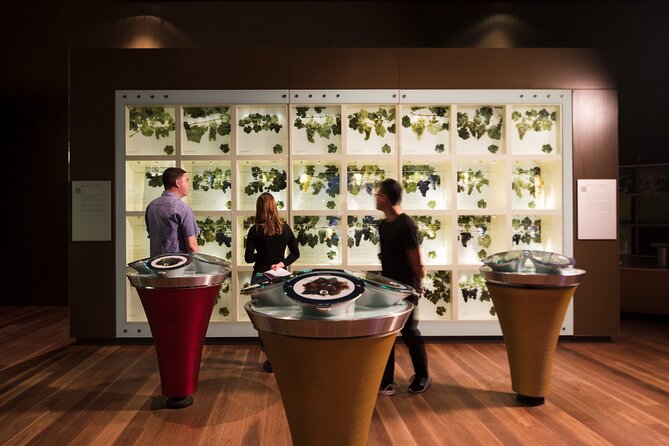Guided Wine Journey and Discovery Tasting Tour in Adelaide - Key highlights you will feel right away