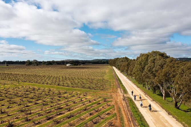 Hahndorf food and wine E-Bike Tour - Beerenberg strawberry picking: when seasonal decides everything