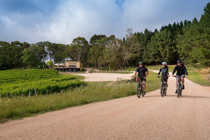 Hahndorf food and wine E-Bike Tour - Shaw and Smith winery: the five-wine flight moment