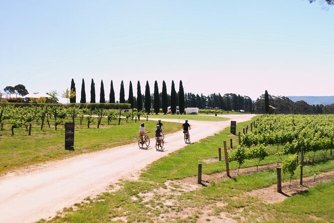 Hahndorf food and wine E-Bike Tour - The Lane Vineyard finish: Taste the Lane selection and bike-off relief