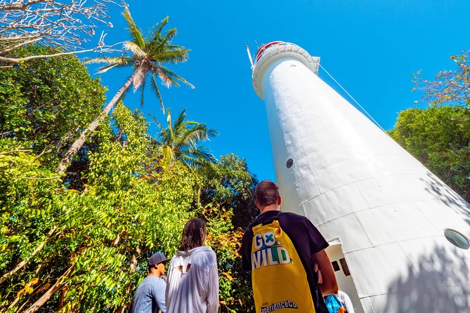 Half Day Low Isles Snorkelling Tour from Port Douglas - Key highlights to know before you go