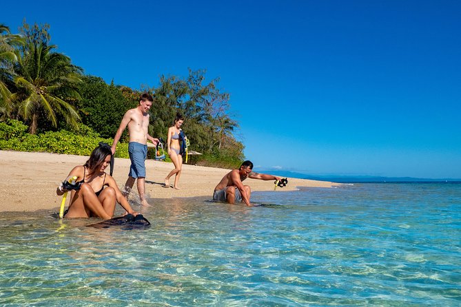 Half Day Low Isles Snorkelling Tour from Port Douglas - Low Isles from Port Douglas: an easy reef fix