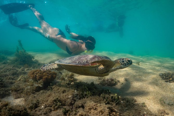 Half Day Low Isles Snorkelling Tour from Port Douglas - The guides: small details, big difference in comfort